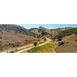 Bodegas Milsetentayseis