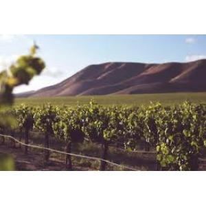 Bodegas y Vinedos Alnardo
