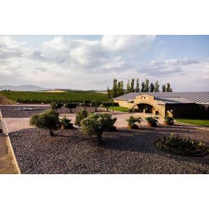 Bodegas Finca Rio Negro